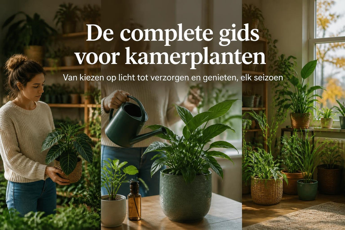 Binnen Plantjes: Volledige Gids voor Kamerplanten