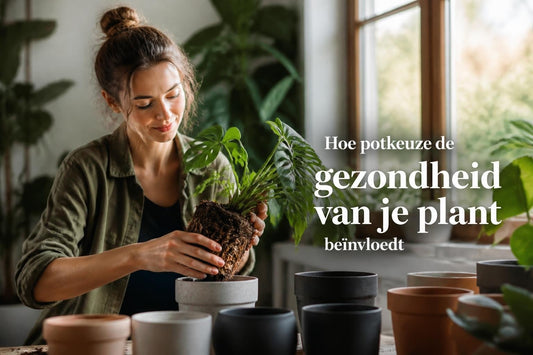 Binnen Plantenpotten: De Ultieme Gids voor 2026