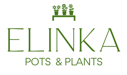 ELINKA Pots & Plants