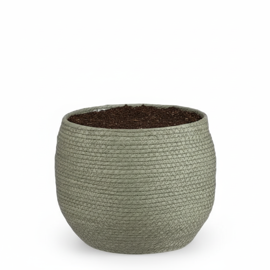 Mand Jorck groen Ø26cm - ↕23cm
