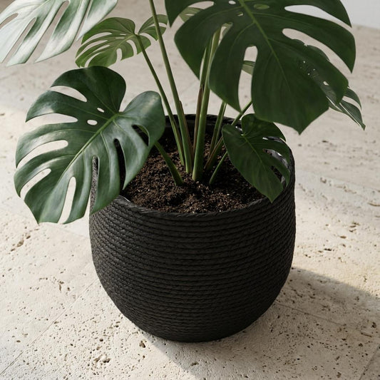 Mand Jorck zwart Ø26cm - ↕23cm