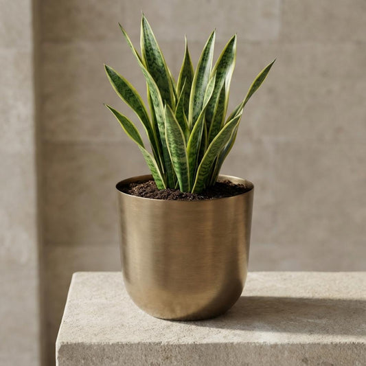 Pot Mayk Gold Ø21cm - ↕23cm